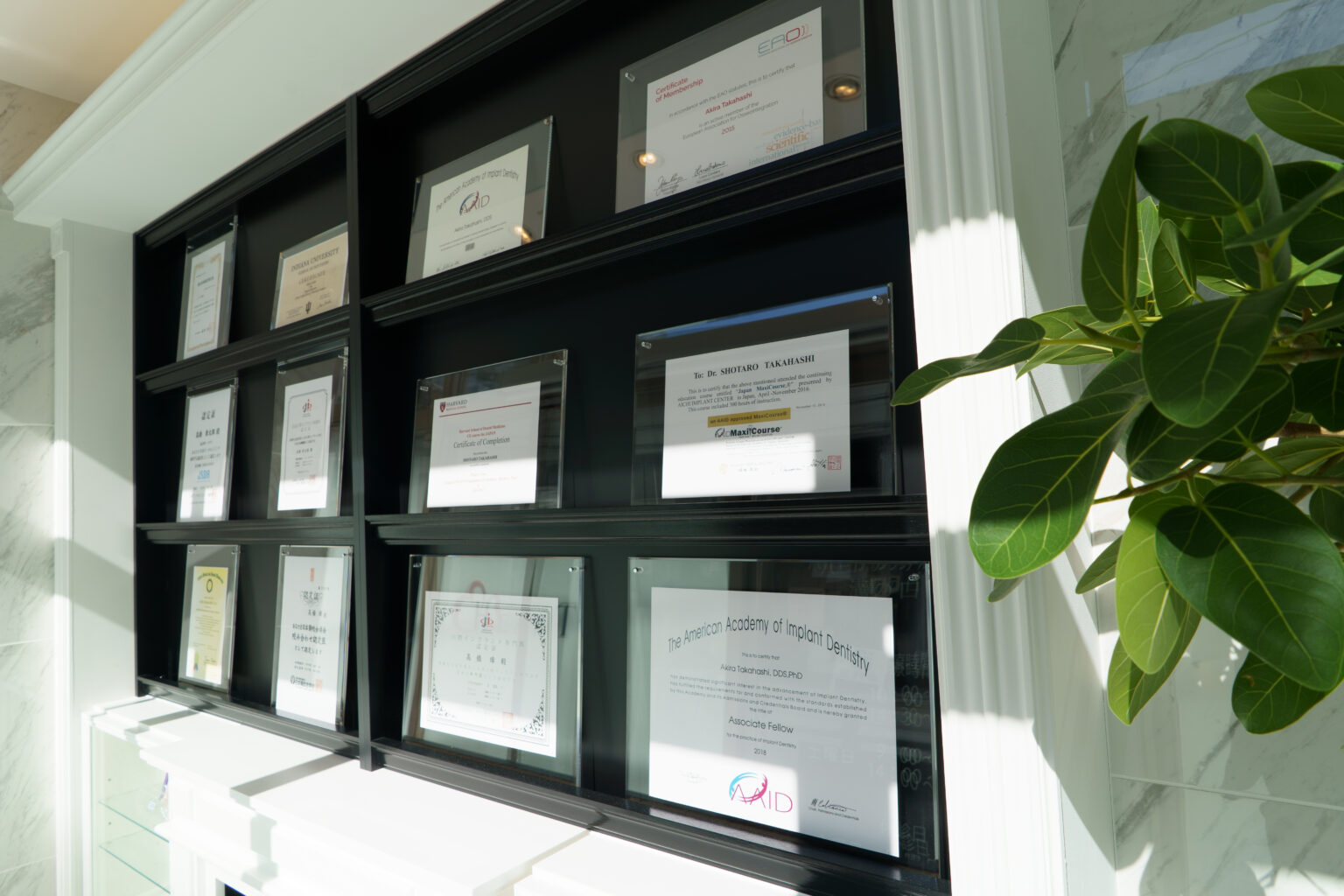 インプラント専門医による世界レベルのインプラント治療